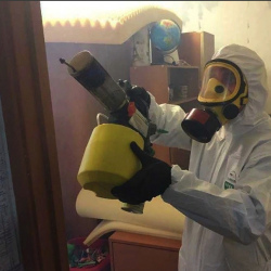 Уничтожение клопов в квартире. Владикавказ